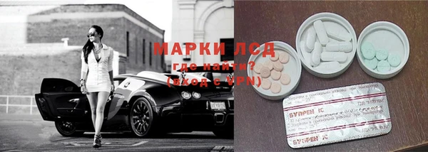ECSTASY Покров