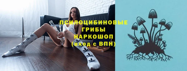 ECSTASY Покров