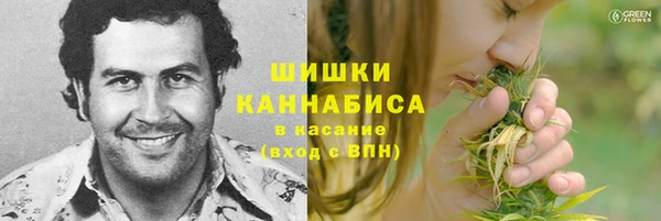 ECSTASY Покров