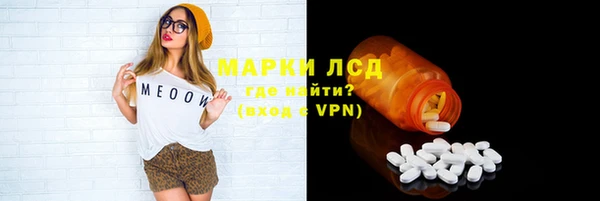 ECSTASY Покров