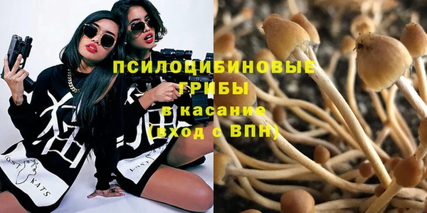 mdma Пестово