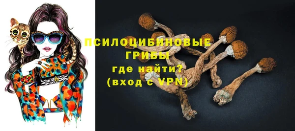 ECSTASY Покров